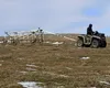 Morminte vechi de circa 4 milenii, descoperite de cercetători români şi cehi