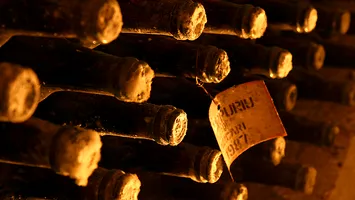 Deși profitul net a scăzut, vânzările Purcari Wineries au crescut cu 11% în trimestrul 1