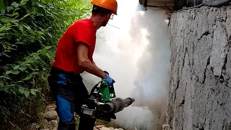 Salubrizarea sectorului 5 și acordarea primului ajutor: o comunitate curată și sănătoasă!