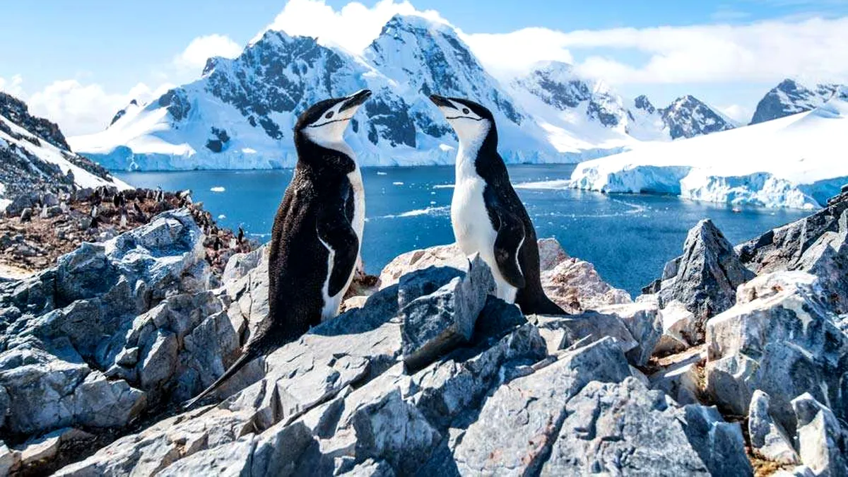 Lumea ascunsă de sub gheață: 332 de canioane gigantice descoperite în adâncurile Antarcticii