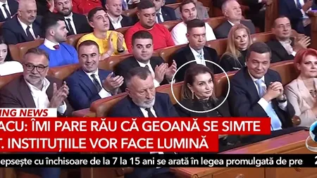 Regina Contractelor cu Statul: cine este Mihaela Neagu și cum a ajuns la asemenea ”onoruri”
