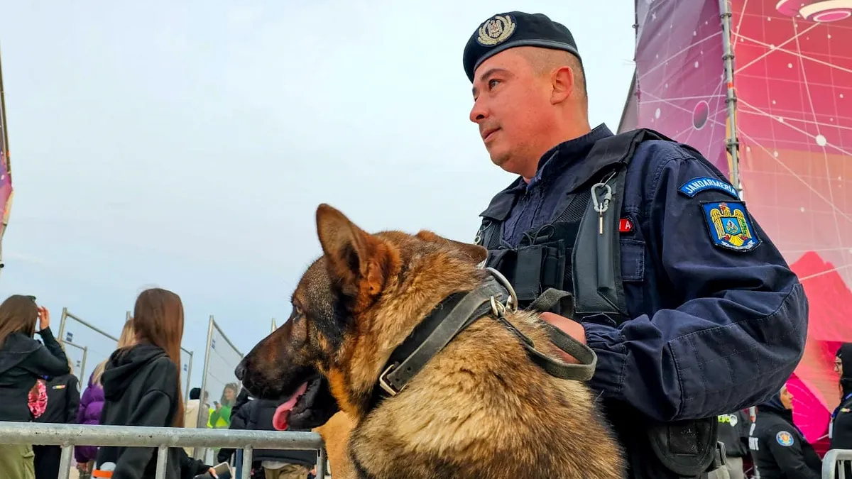MAI: Amenzi în valoare de peste 15,8 milioane de lei, permise săltate și consumatori de droguri prinși la volan, în timpul minivacanței