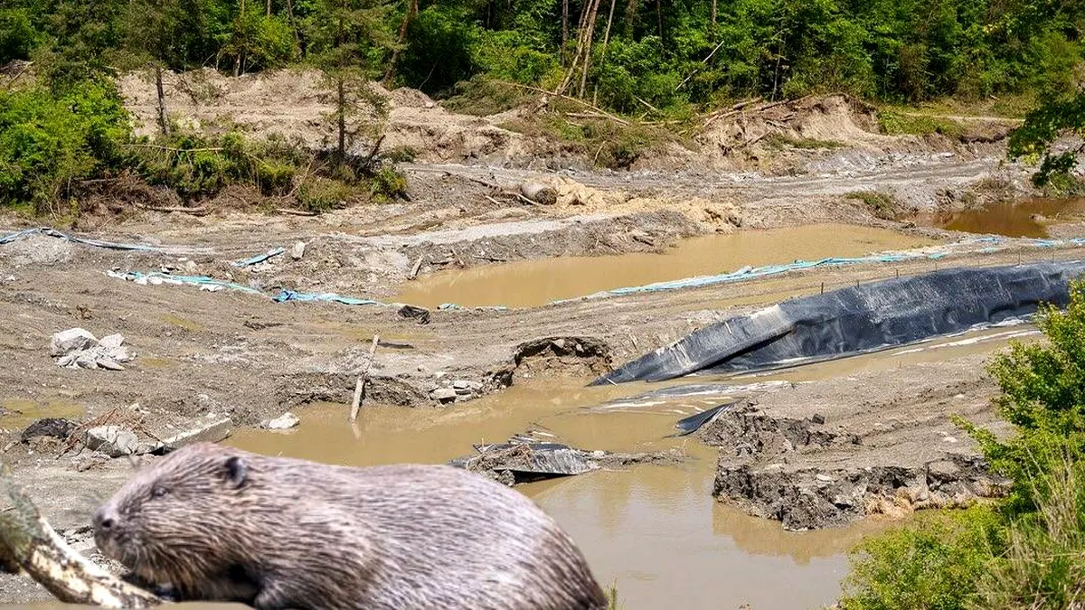 Explicațiile pentru dezastrul de proporții. Motivul surprinzător pentru care nu s-au luat măsuri la Salina Praid