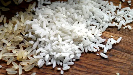 Criza mondială de orez pune în pericol securitatea alimentară a țărilor sărace