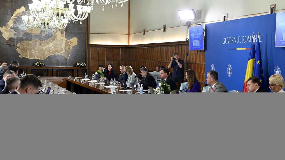 Şedinţă extraordinară la Guvern, vineri. Ce probleme se pun la punct
