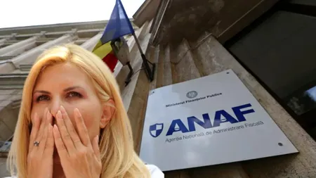 ANAF vinde terenul Elenei Udrea