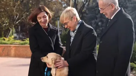 Nici câinele președintelui n-a scăpat de teroarea petardelor
