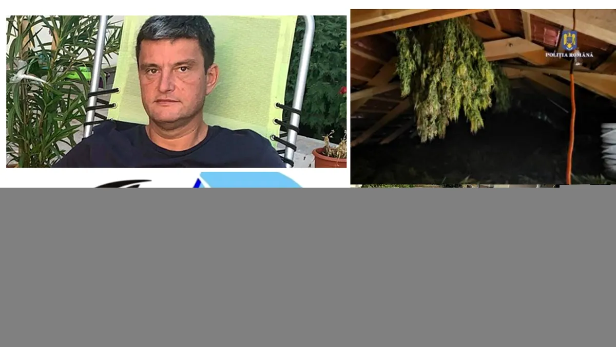 Vătaful „Apelor Române”, Sorin Lucaci, a îngropat scandalul canabisului de lângă Timișoara