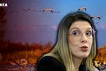 Diana Buzoianu vrea ca USR să impună un nou guvernator al Deltei Dunării