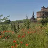 Ruinele de pe malul Dâmboviței: povestea Mănăstirii Chiajna, vestigiul ridicat la sfârșit de secolului al XVIII-lea