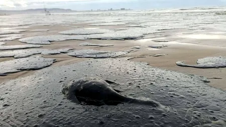 Mareea neagră din Crimeea: păcura rusească ucide Marea Neagră, ucide Europa
