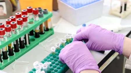MedLife: Încă un laborator RT-PCR a fost deschis la Cluj-Napoca