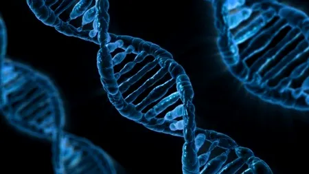 Studiu: Testele genetice SNP nu detectează variațiile genetice rare, confirmând doar 16% din cele 5.000 de mutații