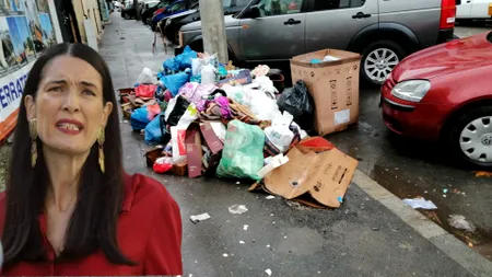 Sectorul 1 - din ”perla” Bucureștiului, în cel mai ponosit sector al Capitalei: gunoaie peste tot, infrastructura la pământ și construcții înghesuite EXCLUSIV