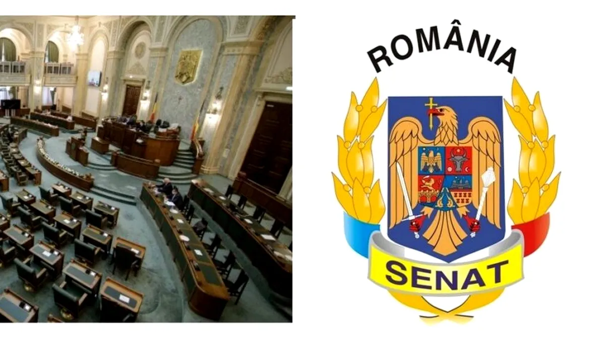 Senatul a votat Biroul permanent; componenţă neschimbată faţă de sesiunea anterioară