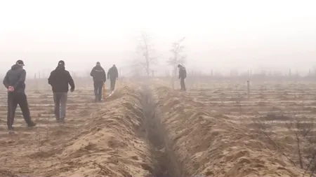 Ce se mai fură prin Oltenia. A părut că hoții fac muncă silnică, după ce au săpat un șanț lung de doi kilometri