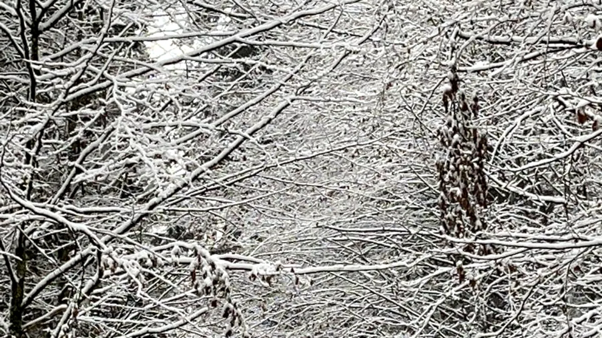 Avertisment meteo. Cod galben de ninsori în 10 județe