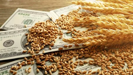 România a câștigat un contract de 60.000 de tone de grâu pentru Egipt, datorită prețului