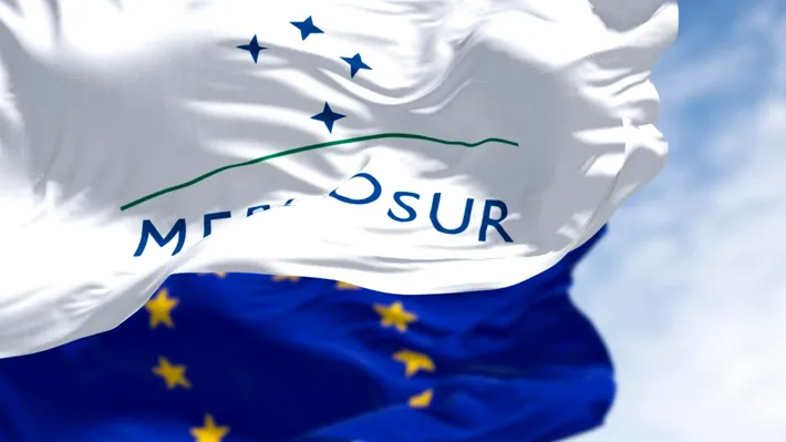 Contaminare cu salmonella la primul transport de pui din Brazilia sub acordul UE–Mercosur