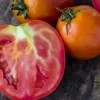 De ce au roșiile miezul verde în acest an: explicații din partea specialiștilor