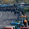 Fermierii români se alătură protestelor violente din Uniunea Europeană împotriva acordului Mercosur