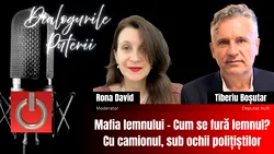Tiberiu Boșutar: „Mafia lemnului controlează o treime din România”. Mecanismele din spatele tăierilor ilegale de păduri