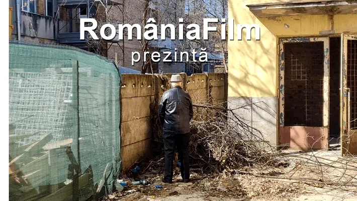 România Film: cum a murit regia cinematografelor în cel mai bun an al cinema-ului