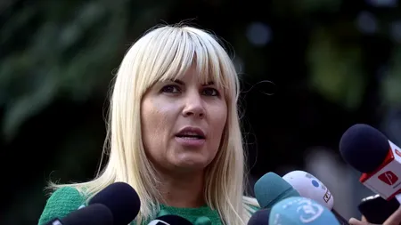 Elena Udrea, acuzații la adresa CCR: Cum s-a putut în cazul meu, dar nu și în cazul Georgescu?