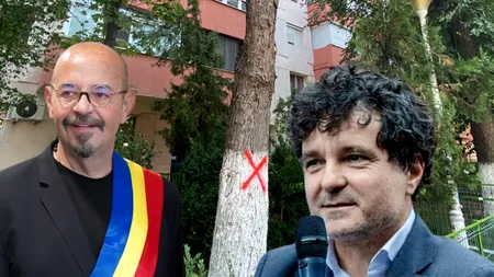 Piedone, către Nicușor Dan: Treci la treabă, profesore
