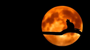 „Luna Cerbului” din iulie: spectacol pe cer între stele și tradiție
