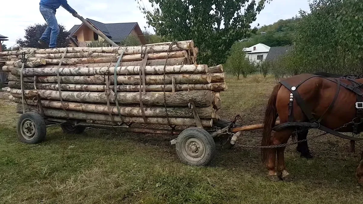 Copil în stare gravă după ce a fost prins sub o căruță cu lemne. Drumul este greu accesibil
