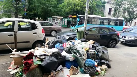 Stare de alertă în Sectorul 1 din cauza gunoaielor. Prefectul Alin Stoica a aprobat cererea