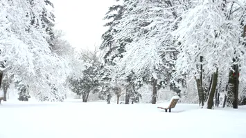 Martie vine cu vreme deosebit de rea! Început de primăvară cum nu am mai avut în ultimii ani