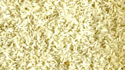 Industria orezului din Europa reclamă pierderea competitivității în fața importurilor din afara UE