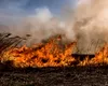 11 incendii în Delta Dunării în două zile. Peste 900 de hectare de vegetație au fost mistuite de flăcări