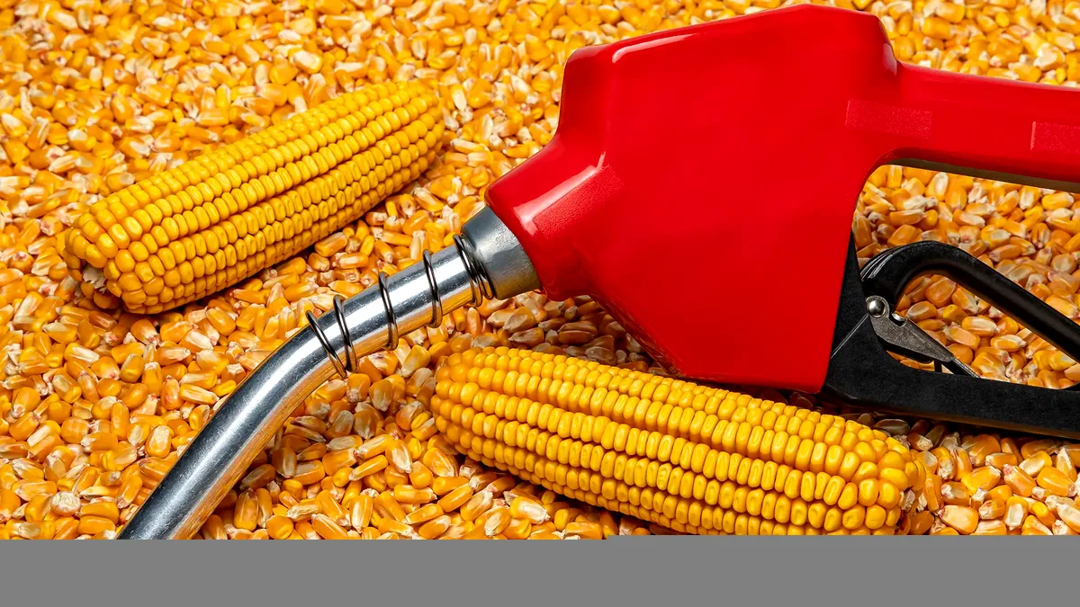 Guvernul va sprijini producția de biocombustibili, în timp ce benzina și motorina se scumpesc