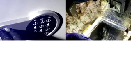 „Comoara” ascunsă într-o pădure din Neamț. Seiful cu 100.000 de euro și bijuterii, găsit de polițiști