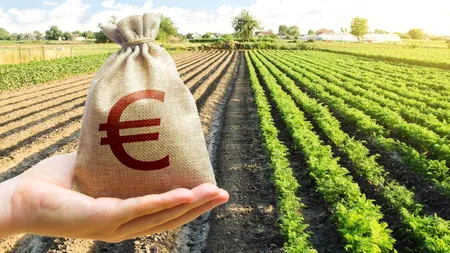 Fonduri europene mai accesibile pentru fermieri: modificările Guvernului care fac diferența DOCUMENT