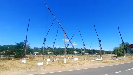 Spectaculoasa „pădure de fântâni” de la Cuca, o „uzină de apă” de acum o sută de ani