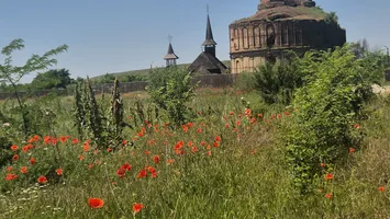 Ruinele de pe malul Dâmboviței: povestea Mănăstirii Chiajna, vestigiul ridicat la sfârșit de secolului al XVIII-lea