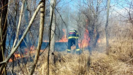 Giurgiu: 300 de hectare de teren arse într-un incendiu pentru stingerea căruia 70 de pompieri s-au luptat șapte ore