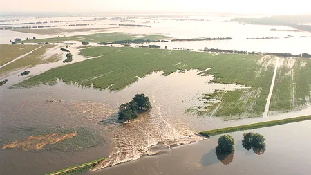 Proiectul internațional „Danube Floodplain”, o șansă de relansare a proiectelor din România pentru renaturarea Luncii Dunării