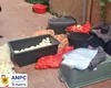 Noi controale ANPC pe litoral. Ce au găsit inspectorii