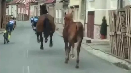 Doi cai au „concurat” la Turul Ciclist al Sibiului