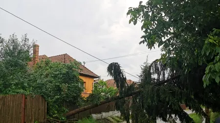 ISU Bucureşti-Ilfov: Peste 20 de intervenţii în cazuri de copaci căzuţi şi elemente de construcţii desprinse de vânt