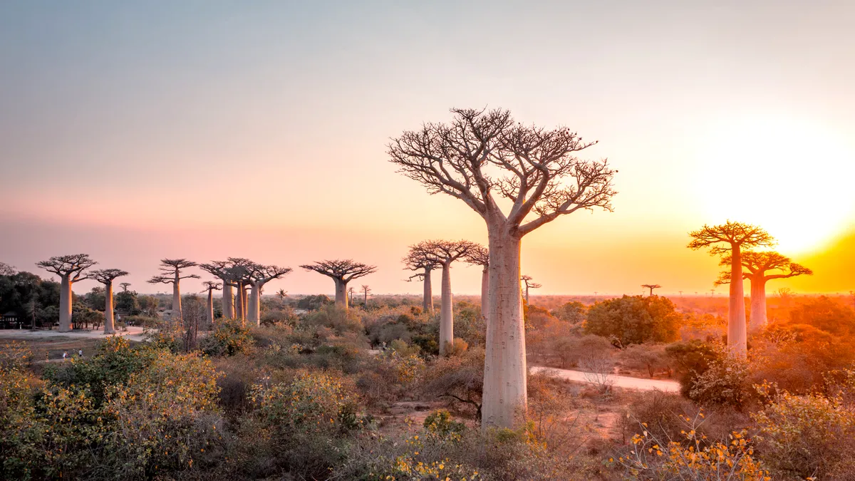 Tot mai mulți români aleg să se stabilească în Madagascar