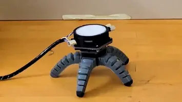 Ciupercă în rol de pilot: robotul biohibrid care se mișcă la semnalul unei „trompete regale”