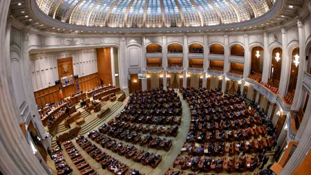 Anatomia finanțării politice: jocurile de putere și banii publici din spatele organizațiilor minorităților naționale