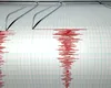 România s-a cutremurat. Câte grade a avut seismul produs în Vrancea, în această dimineaţă