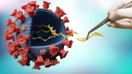 Din ce este compus vaccinul pe bază de ARN mesager și cum   a apărut
